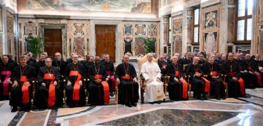 Đức Thánh Cha Tiếp Các Thành Viên Của Bộ Giáo Lý Đức Tin