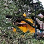 Đức Thánh Cha Lêô XIV Cầu Nguyện Cho Các Nạn Nhân Của Bão Kristin Ở Bồ Đào Nha