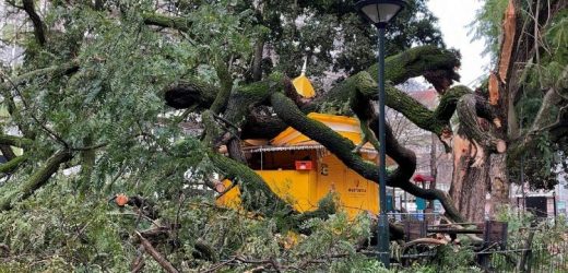 Đức Thánh Cha Lêô XIV Cầu Nguyện Cho Các Nạn Nhân Của Bão Kristin Ở Bồ Đào Nha