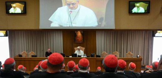 Công Nghị Hồng Y Đầu Tiên Dưới Triều Đức Thánh Cha Lêô XIV