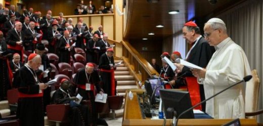 Đức Lêô XIV Khai Mạc Công Nghị Ngoại Thường, Đề Nghị Các Hồng Y Cùng Nhau Làm Việc