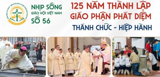 125 Năm Thành Lập Giáo Phận Phát Diệm – Thánh Chức – Hiệp Hành – Nhịp Sống Giáo Hội Việt Nam Số 56 (05/01/2026 – 12/01/2026)
