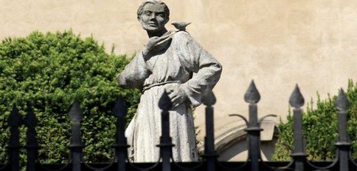 Năm Thánh Phanxicô, Công Bố Sắc Lệnh Của Tòa Xá Giải Tối Cao