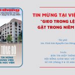 Tin Mừng Tại Việt Nam: “Gieo Trong Lệ Sầu, Gặt Trong Niềm Vui…”