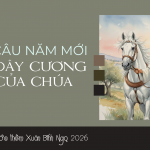 Vó Câu Năm Mới Và Dây Cương Của Chúa: Tản Mạn Trước Thềm Xuân Bính Ngọ 2026