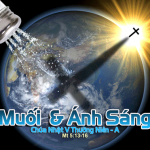 Chúa Nhật V Thường Niên, Năm A (01.02.2026) – Muối Và Ánh Sáng (Mt 5,13-16)