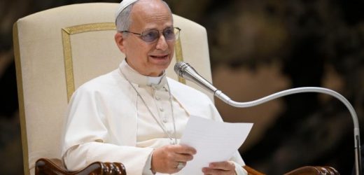 Đức Thánh Cha Lêô XIV Kêu Gọi Giới Báo Chí Cổ Võ Đối Thoại Thay Vì Đối Đầu