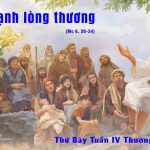 07.02.2026 – Thứ Bảy Tuần IV Thường Niên, Năm A – Chúa Chạnh Lòng Thương (Mc 6,30-34)