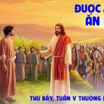 14.02.2026 – Thứ Bảy Tuần V Thường Niên, Năm A – Được Ăn No Nê (Mc 8,1-10)