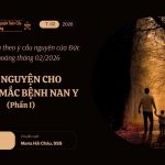 Cầu Nguyện Cho Trẻ Em Mắc Bệnh Nan Y – Suy Niệm dựa Theo Ý Cầu Nguyện Của Đức Giáo Hoàng Tháng 02/2026 Phần I