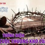 Chúa Nhật Lễ Lá, Năm A (29.03.2026) – Xin Theo Ý Cha (Mt 26,14 – 27,66)