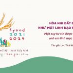Hòa Nhi Bất Đồng Như Một Linh Đạo Hiệp Thông – Một Suy Tư Xin Được Chia Sẻ Với Anh Em Linh Mục Và Tu Sĩ