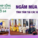 Ngắm Mùa Chay – Tĩnh Tâm Tại Các Giáo Phận – Nhịp Sống Giáo Hội Việt Nam Số 64 (02/3/2026 – 09/3/2026)