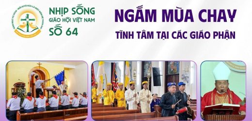 Ngắm Mùa Chay – Tĩnh Tâm Tại Các Giáo Phận – Nhịp Sống Giáo Hội Việt Nam Số 64 (02/3/2026 – 09/3/2026)