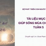 Tài Liệu Mục Vụ Giúp Sống Mùa Chay 2026 Của Bộ Phát Triển Con Người Toàn Diện – Tuần 5