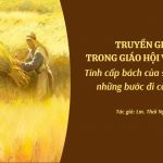 Truyền Giáo Trong Giáo Hội Việt Nam – Tính Cấp Bách Của Sứ Mạng Và Những Bước Đi Còn Chậm