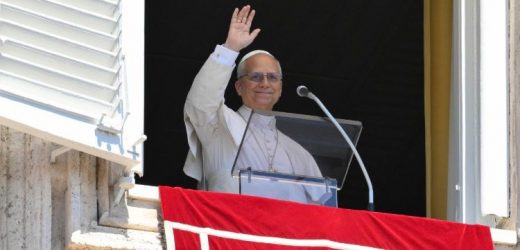 Regina Caeli (26/4): Chúa Biết Chúng Ta, Gọi Đích Danh Chúng Ta