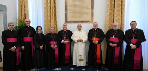 Đức Thánh Cha: Ngoại Giao Tòa Thánh Phục Vụ Hòa Bình, Chân Lý Và Công Lý