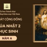 Bài Hát Cộng Đồng Chúa Nhật 2 Phục Sinh Năm A