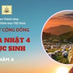 Bài Hát Cộng Đồng Chúa Nhật 4 Phục Sinh Năm A