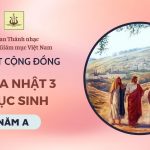 Bài Hát Cộng Đồng Chúa Nhật 3 Phục Sinh Năm A