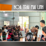 Hoa Trái Mai Linh