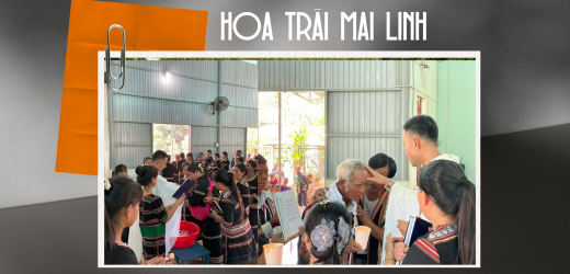 Hoa Trái Mai Linh
