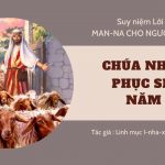 Chúa Nhật 4 Phục Sinh Năm A – Man-na Cho Người Lữ Hành
