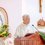 Người Mục Tử – Vài Suy Nghĩ Dịp Chủ Sự Bổ Nhiệm Các Linh Mục Chính Xứ (Từ 20 Đến 25/04/2026)