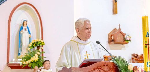 Người Mục Tử – Vài Suy Nghĩ Dịp Chủ Sự Bổ Nhiệm Các Linh Mục Chính Xứ (Từ 20 Đến 25/04/2026)