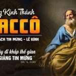 25.04.2026 – Thánh Máccô, Tác Giả Sách Tin Mừng – Rao Giảng Tin Mừng (Mc 16,15-20)
