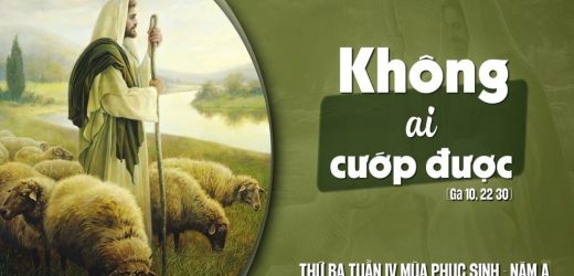 28.04.2026 – Thứ Ba Tuần IV Phục Sinh – Không Ai Cướp Được (Ga 10,22-30)