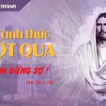 04.04.2026 – Thứ Bảy Tuần Thánh – Chị Em Đừng Sợ! (Mt 28,1-10)