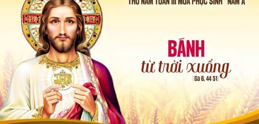 23.04.2026 – Thứ Năm Tuần III Phục Sinh – Bánh Từ Trời Xuống (Ga 6,44-51)