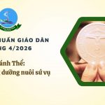 Ủy Ban Giáo Dân – Thường Huấn Tháng 4/2026: Thánh Thể – Nguồn Sống Dưỡng Nuôi Sứ Vụ