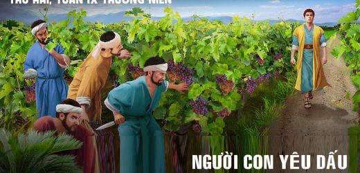 01.06.2026 – Thứ Hai Tuần IX Thường Niên, Năm A – Người Con Yêu Dấu (Mc 12,1-12)
