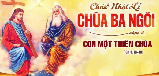 Chúa Nhật IX Thường Niên – Lễ Chúa Ba Ngôi, Năm A (31.05.2026) – Con Một Thiên Chúa (Ga 3,16-18)
