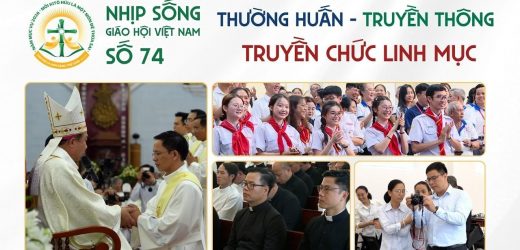 Thường Huấn – Truyền Thông – Truyền Chức Linh Mục: Nhịp Sống Giáo Hội Việt Nam Số 74 (12/5/2026 – 18/5/2026)
