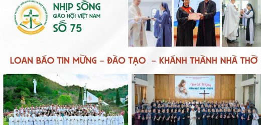 Loan Báo Tin Mừng – Đào Tạo – Khánh Thành Nhà Thờ: Nhịp Sống Giáo Hội Việt Nam Số 75 (18/5/2026 – 25/5/2026)
