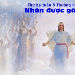 26.05.2026 – Thứ Ba Tuần VIII Thường Niên, Năm A – Nhận Được Gấp Trăm (Mc 10,28-31)