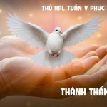 04.05.2026 – Thứ Hai Tuần V Phục Sinh – Thánh Thần Sẽ Dạy (Ga 14,21-26)