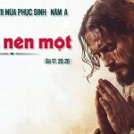 21.05.2026 – Thứ Năm Tuần VII Phục Sinh – Tất Cả Nên Một (Ga 17,20-26)