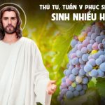 06.05.2026 – Thứ Tư Tuần V Phục Sinh – Sinh NHiều Hoa Trái (Ga 15,1-8)