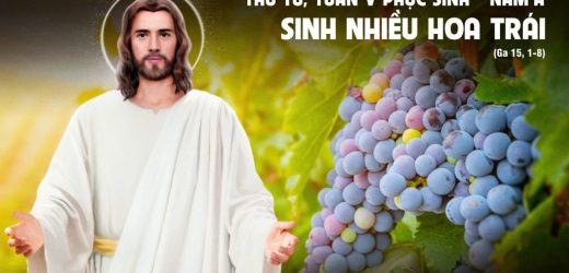 06.05.2026 – Thứ Tư Tuần V Phục Sinh – Sinh NHiều Hoa Trái (Ga 15,1-8)