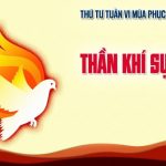13.05.2026 – Thứ Tư Tuần VI Phục Sinh – Đấng Bảo Trợ Đến (Ga 16,5-11)