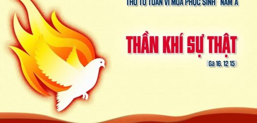13.05.2026 – Thứ Tư Tuần VI Phục Sinh – Đấng Bảo Trợ Đến (Ga 16,5-11)