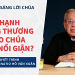 Chúa Nhật 12 Thường Niên Năm A – Phải Chăng Thiên Chúa Đã Quan Phòng Mọi Sự?