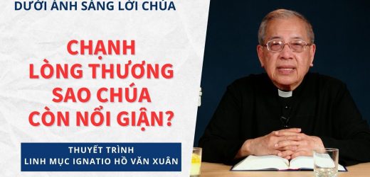 Chúa Nhật 12 Thường Niên Năm A – Phải Chăng Thiên Chúa Đã Quan Phòng Mọi Sự?