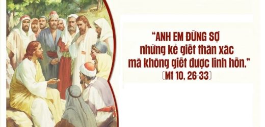 Chúa Nhật XII Thường Niên, Năm A (21.06.2026) – Anh Em Đừng Sợ (Mt 10,26-33)