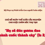“Họ Sẽ Đúc Gươm Đao Thành Cuốc Thành Cày” – Chủ Đề Ngày Thế Giới Cầu Nguyện Cho Việc Chăm Sóc Thụ Tạo